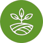 Home icon removebg preview